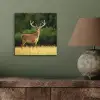 Hert - Gewei - Gras - Natuur - Dieren - Groen aluminium wit klein -sfeer2