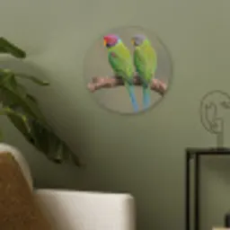 Papagaai - Tak - Natuur - Kleurrijk Akoestische PET Vilt - Rond klein -sfeer2