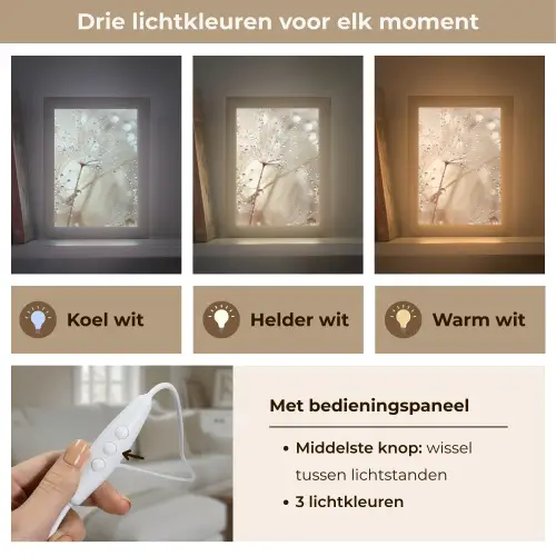Natuur - Bloemen - Druppels - Regen Light Box met kabel (Tafellamp) klein -USP_lichtkleurNL