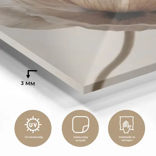 Bloem - Beige - Crème plexiglas 5mm klein -sfeer2