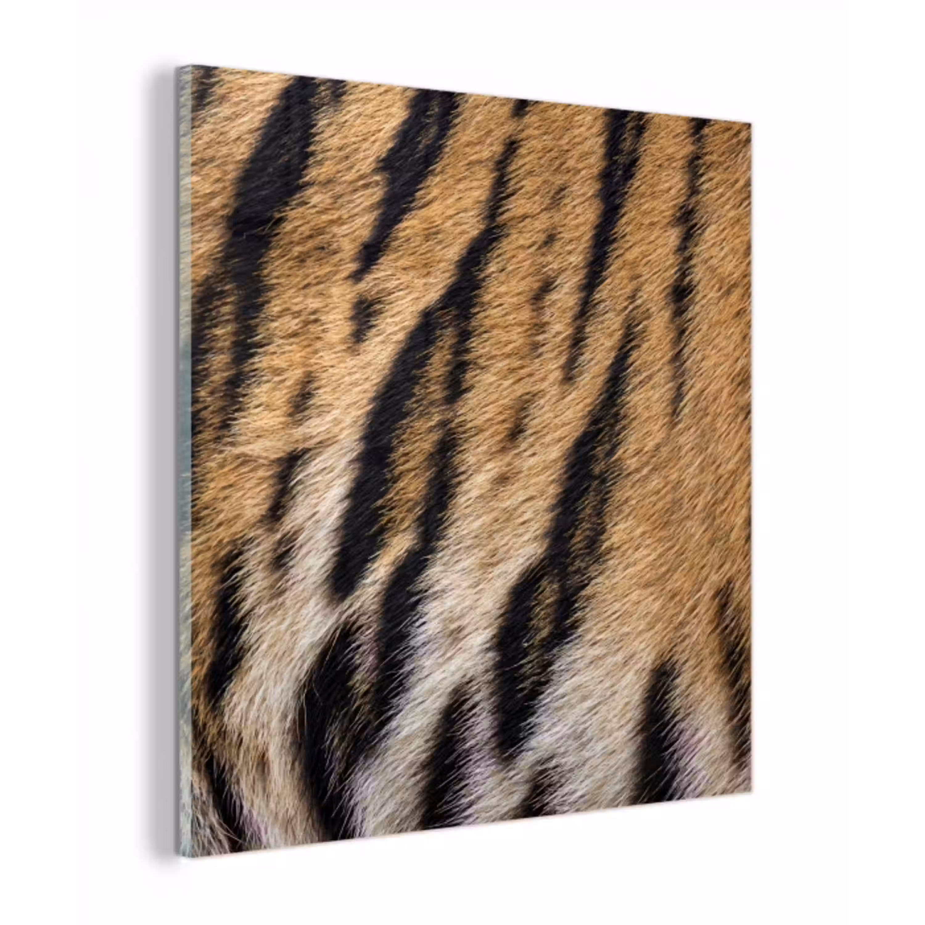 Tijgervacht - Klassiek - Zwart plexiglas 5mm klein -z3d