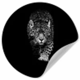 Dieren - Zwart - Luipaard - Wit - Wild Wandcirkel behangsticker klein -3d