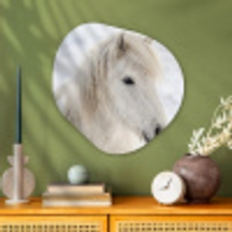 Paard - Kop - Winter - Dieren - Wit Wandcirkel Organisch Aluminium middel -sfeer2