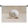Schelp - Spiraal - Beige Wandkleed katoen klein -zz3d