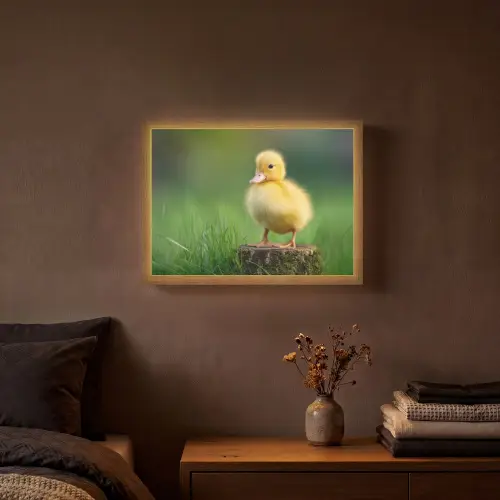 Kuiken - Eend - Geel - Gras Light Box met batterij (Wandlamp) middel -sfeer4