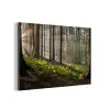 Zon - Takken - Bomen - Bos - Natuur aluminium wit klein -3d