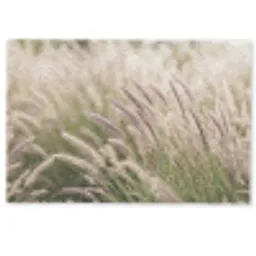 Gras - Close up - Groen Deurmat klein -zkaufland3d