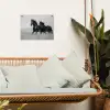 Paarden - Gras - Zwart - Wit tuinposter los doek klein -sfeer7