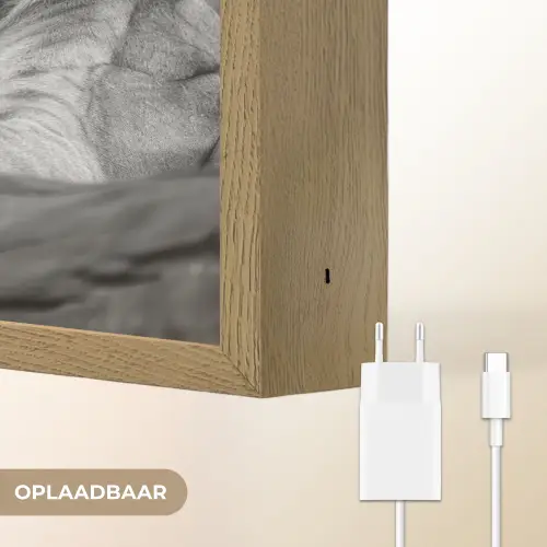 Leeuwen - Dieren - Zwart - Wit - Leeuw Light Box met batterij (Wandlamp) middel -USP_websiteoplaadbaarNL