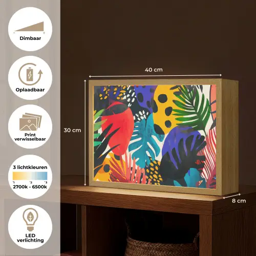 Bladeren - Vormen - Abstract - Kleurrijk Light Box met batterij (Wandlamp) middel -USP_websiteoverzichtNL