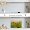 Lente - Bloemen - Rood - Klaproos - Gras - Groen keuken achterwand spatscherm klein -voor_na_FR