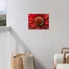 Close up - Bloem - Quote - Rood tuinposter los doek klein -sfeer8