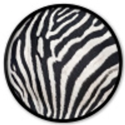 Zebra - Vacht - Klassiek - Zwart - Wit Fotolijst rond zonder passe partout klein -3d