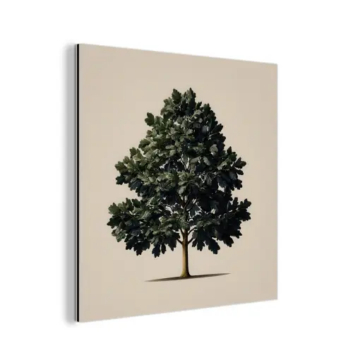 Eikenboom - Schaduw - Egaal aluminium wit klein -3d