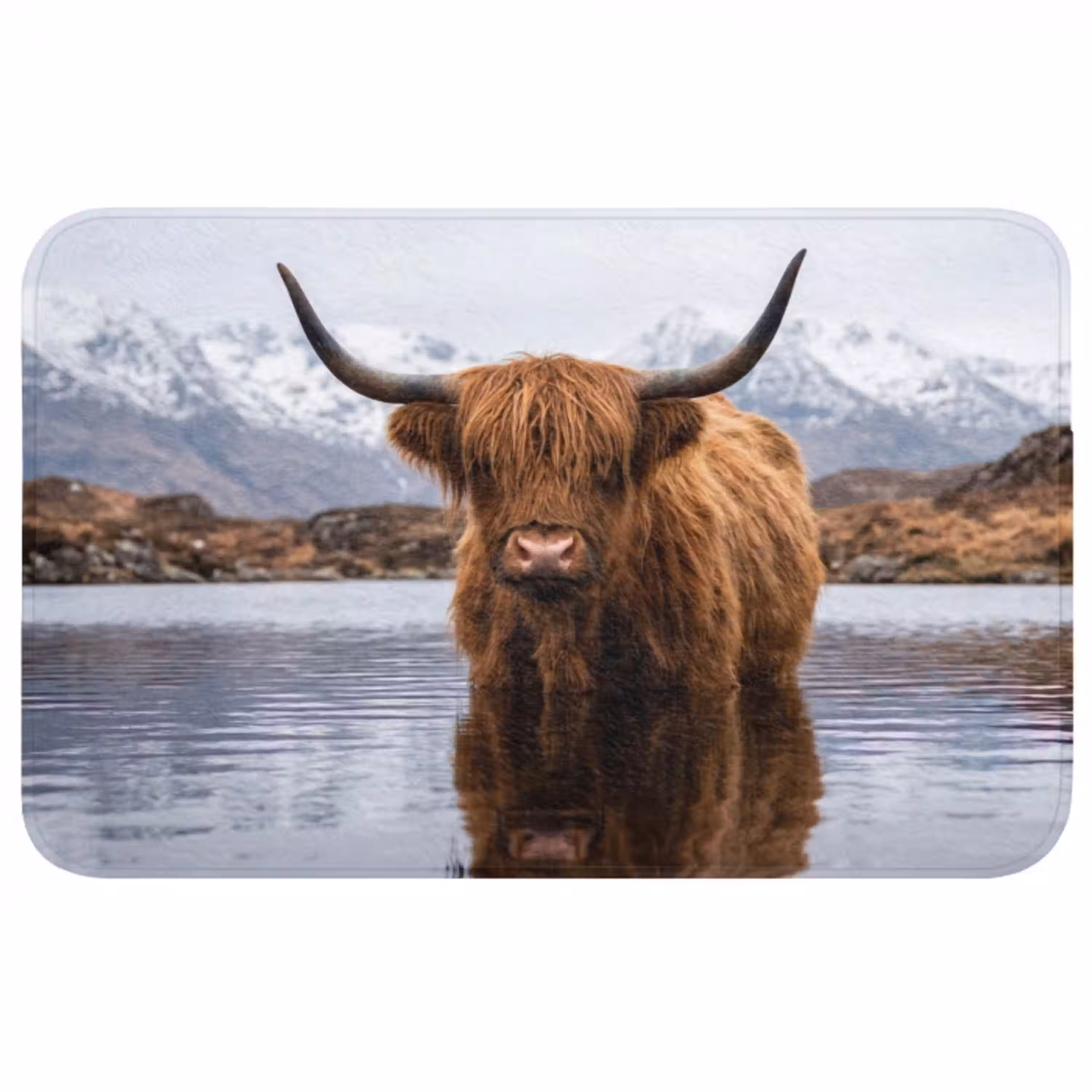 Schotse hooglander - Bruin - Water WCmat middel -3d