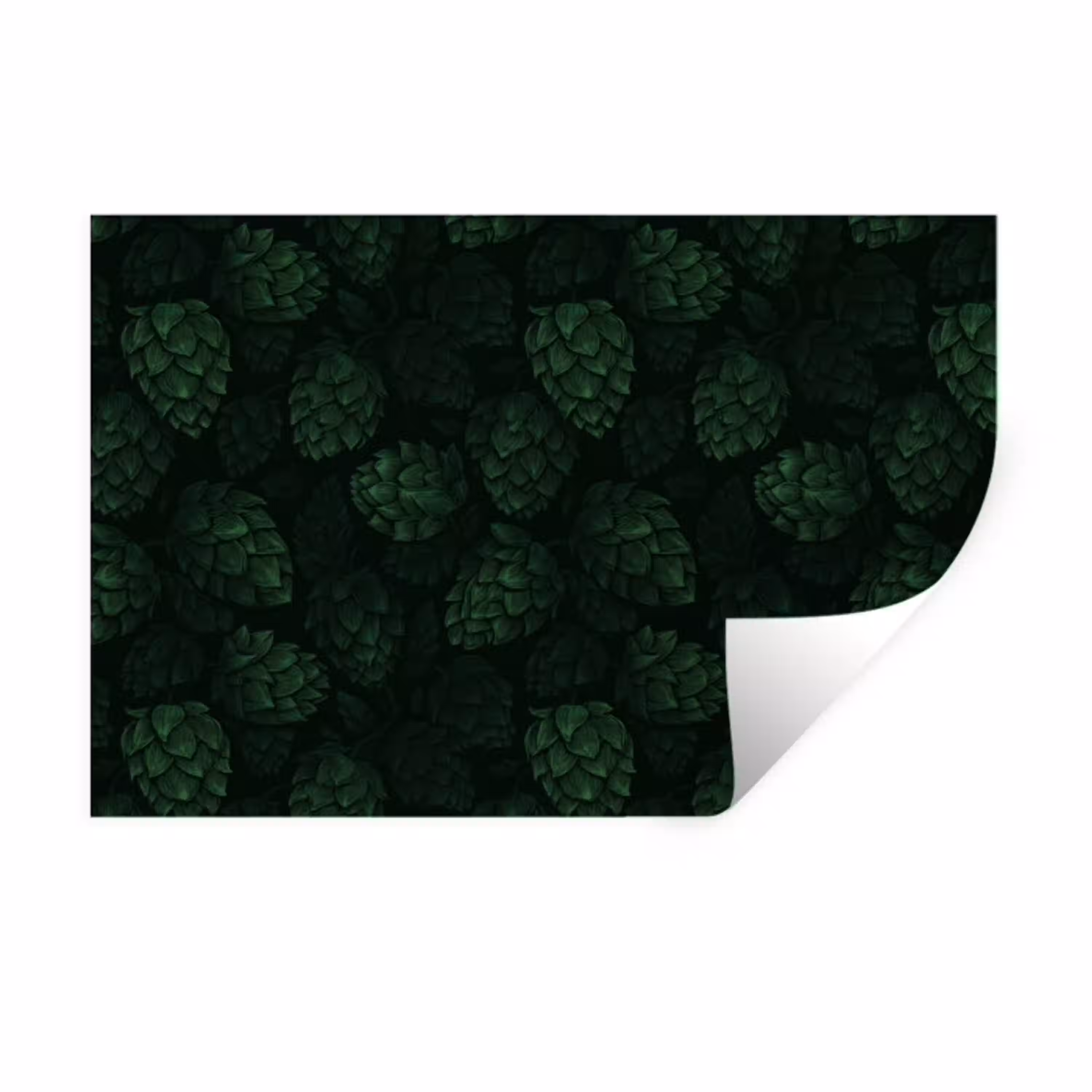 Donker - Groen - Hopbellen - Botanisch - Illustratie Muursticker klein 286 -3d