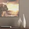 Schotse hooglander - Zon - Horizon - Koe - Dieren PET vilt klein -sfeer6_closeup