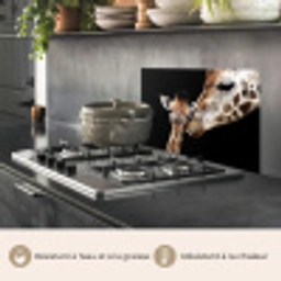 Giraffe - Dieren - Zwart - Portret - Dieren keuken achterwand spatscherm klein -usp_FR