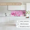 Bloemen - Orchidee - Roze keuken achterwand 2 middel -sfeer4_FR
