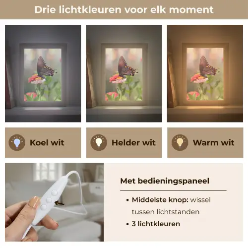 Bloemen - Vlinder - Natuur - Bloem Light Box met kabel (Tafellamp) klein -USP_lichtkleurNL
