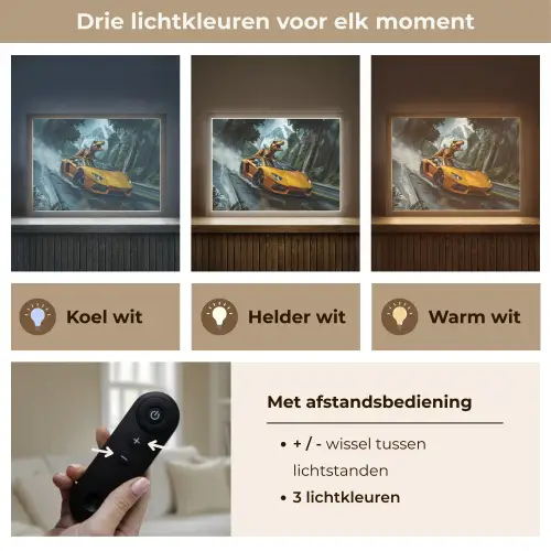T-Rex - Auto - Regenwoud Light Box met batterij (Wandlamp kind) middel -USP_lichtkleurNL