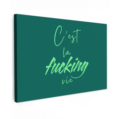 c'est la fucking vie - Groen - Handgeschreven Tuinposter op houten frame 2 cm dik klein -3d