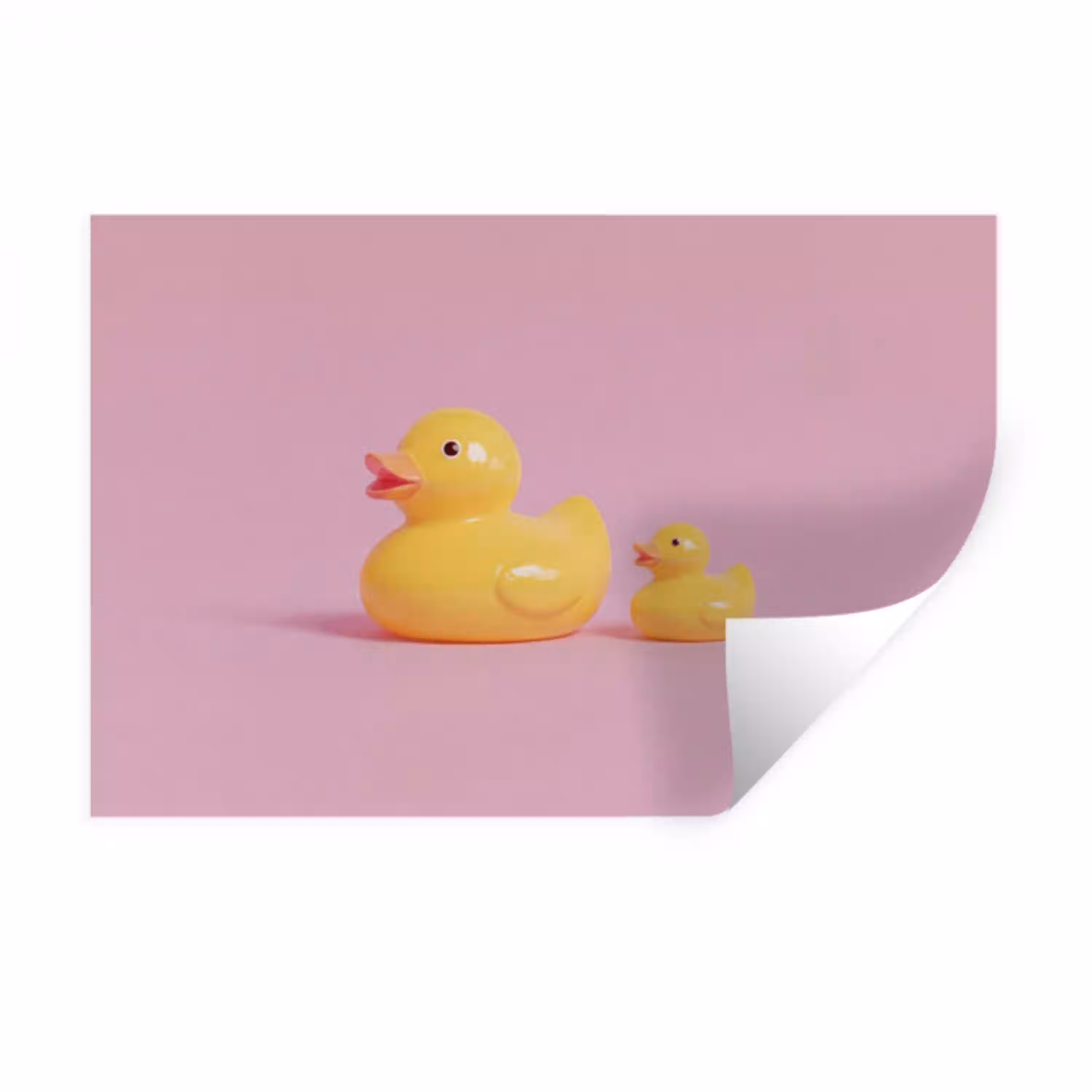 Eendjes - Vrolijk - Roze Muursticker klein -3d