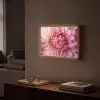 Dahlia - Bloem - Close up - Roze Light Box met batterij (Wandlamp) middel -sfeer1