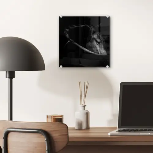 Paarden - Portret - Zwart - Dieren plexiglas 5mm klein -sfeer6
