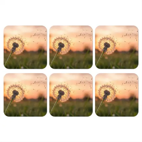 Paardenbloem - Zonsondergang - Veld onderzetter kurk middel -3d