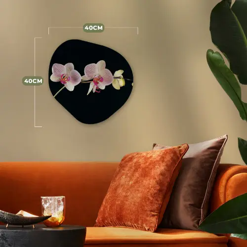 Orchidee - Bloemen - Zwart - Roze - Knoppen Wandcirkel Organisch Forex 3mm klein -sfeer3