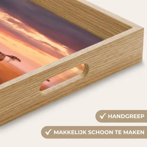 Groep olifanten - Open vlakte - Zon Dienblad Rechthoek middel -USP_HandgreepNL