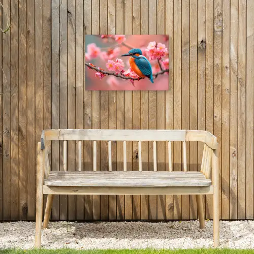 IJsvogel tussen Kersenbloesems Tuinposter op houten frame 2 cm dik klein -sfeer4
