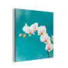 Orchidee - Bloemen - Plant - Wit - Paars aluminium wit klein -3d