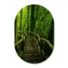 Jungle - Brug - Mos - Natuur - Tropisch Wandcirkel Ovaal Forex klein -3d