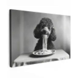 Poedel - Hond - Zwart - Wit - Schattig - Pasta Tuinposter op houten frame 2 cm dik klein -3d