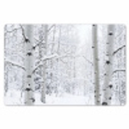 Berkenbomen - Sneeuw - Winter - Bos - Wit Placemat vinyl groot -zzsfeer1_Kitchenyeah-website