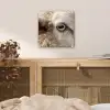 Schaap - Oog - Wit plexiglas 5mm klein -sfeer4