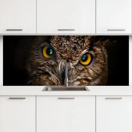 Uil - Dier - Oranje keuken achterwand 2 middel -3d
