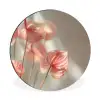 Bloemen - Stelen - Roze - Schaduw Wandcirkel aluminium klein -3d