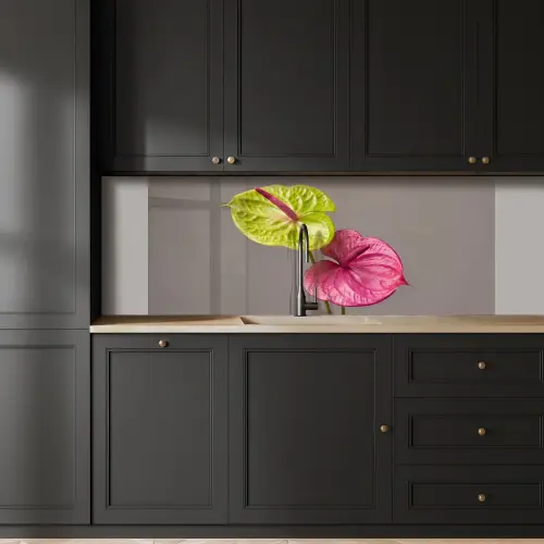 Planten - Anthurium - Groen - Roze keuken achterwand 2 middel -sfeer1