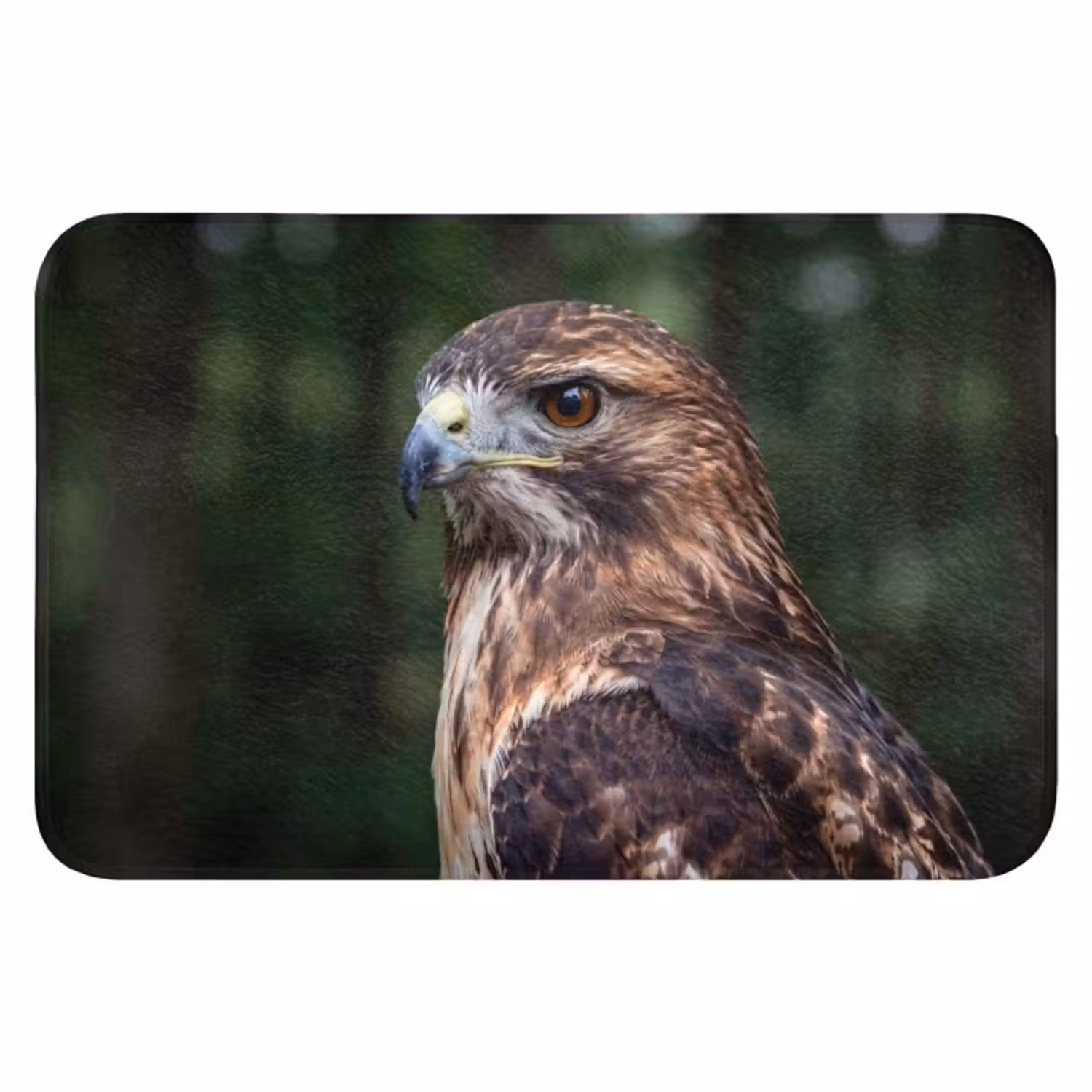 Badematte - Bussard - Raubvogel - Natur - Braun