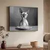 Sphynx - Kat - Dieren - Humor - Spaghetti - Zwart Wit Textielframe zwart klein -sfeer3