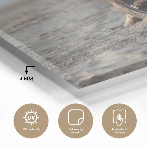 Scheepsstuur - Hout - Bruin - Zand plexiglas 5mm klein -sfeer2