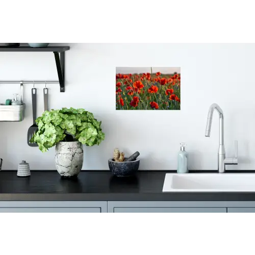 Bloemen - Klaprozen - Natuur - Rood Muursticker klein -keuken