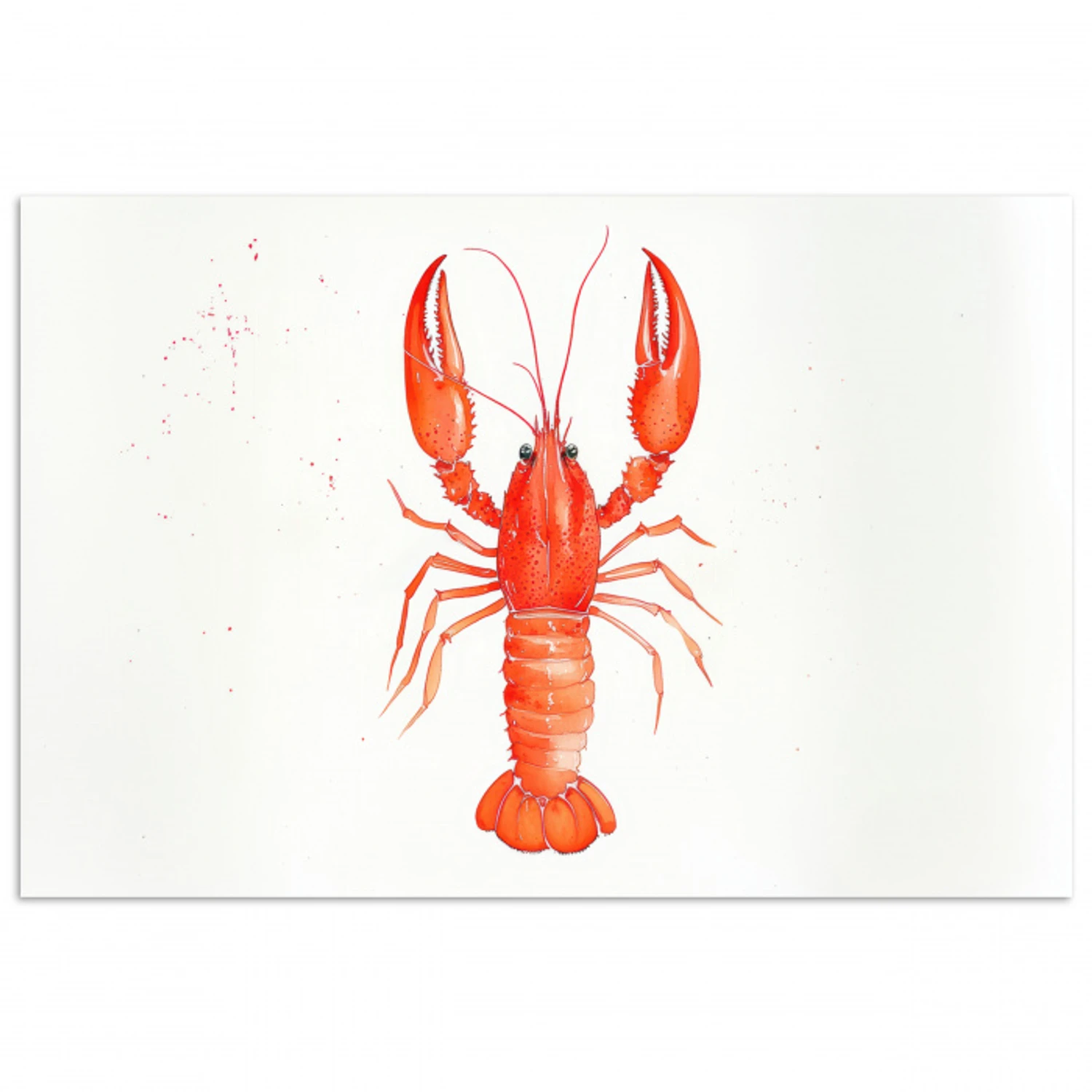 Kreeft - Waterverf - Aquarel - Oranje poster papier klein -3d