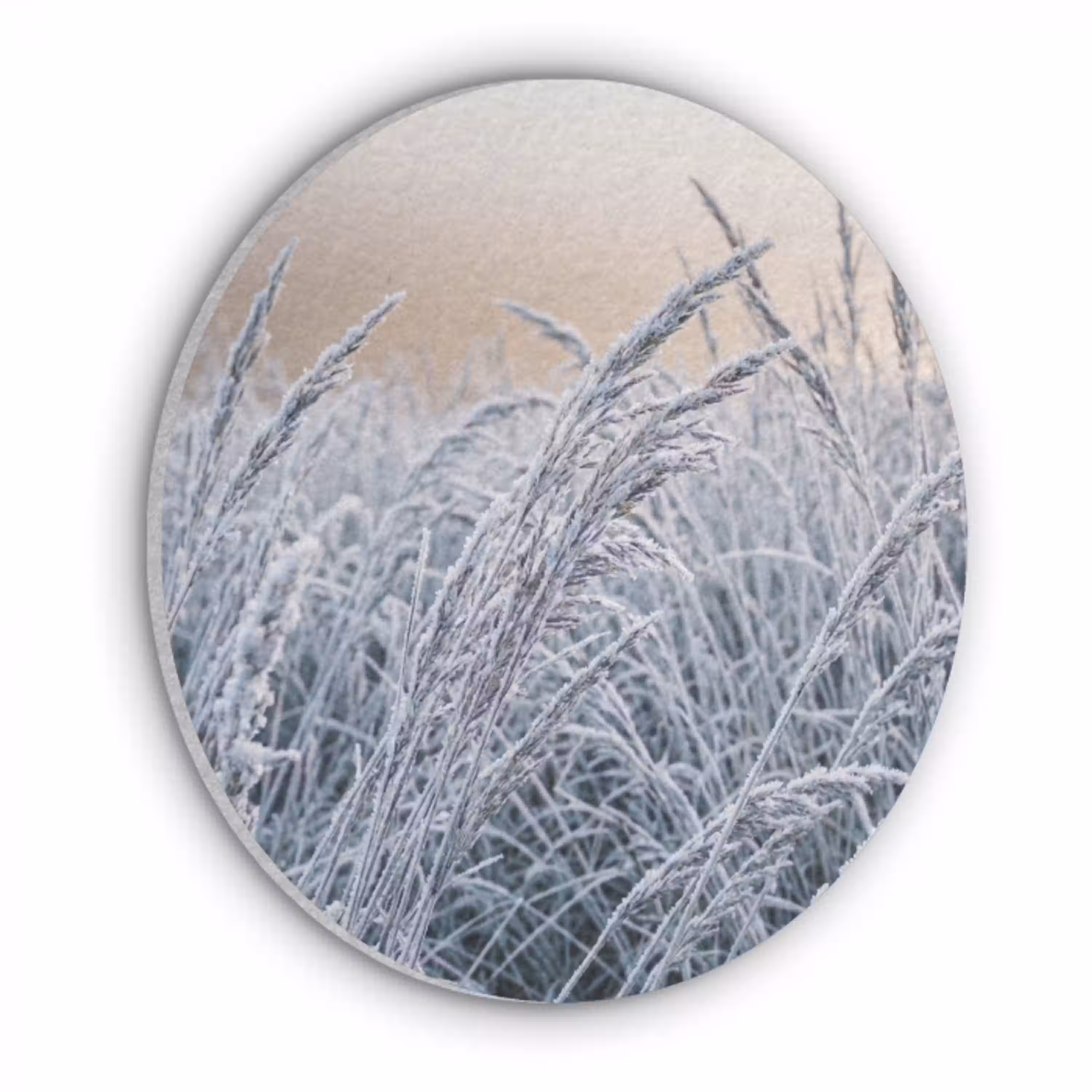 Rijp - Gras - Kristallen - Winter - Minimalistisch Akoestische PET Vilt - Rond klein -3d