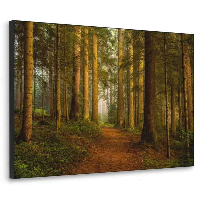 Bos - Natuur - Bomen - Landschap - Bladeren Textielframe - compleet frame klein -3d