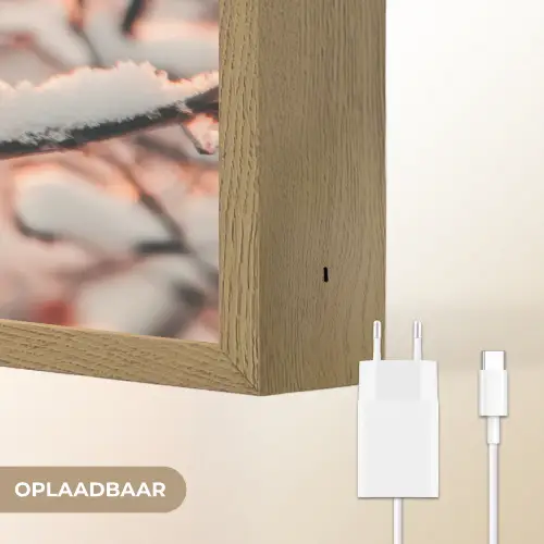 Vogel - Tak - Winter - Dieren - Sneeuw Light Box met batterij (Wandlamp) middel -USP_websiteoplaadbaarNL