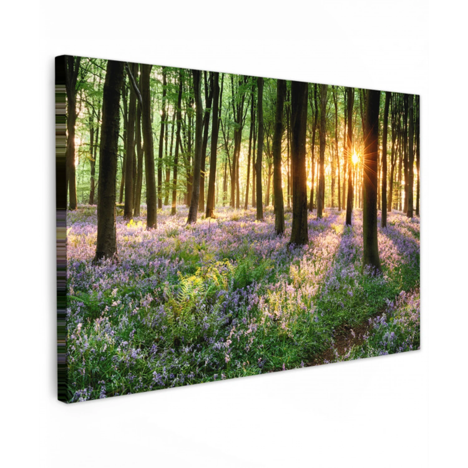 Bos - Natuur - Bloemen - Zon - Boom - Paars canvas 2cm klein -z3d